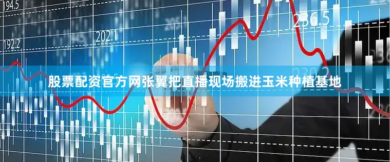 股票配资官方网张翼把直播现场搬进玉米种植基地