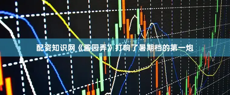 配资知识网《酱园弄》打响了暑期档的第一炮