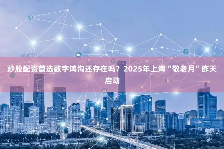 炒股配资首选数字鸿沟还存在吗？2025年上海“敬老月”昨天启动